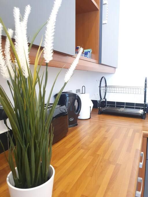 Contemporary Modern Studio Apartment - City Centre เบอร์มิงแฮม ภายนอก รูปภาพ